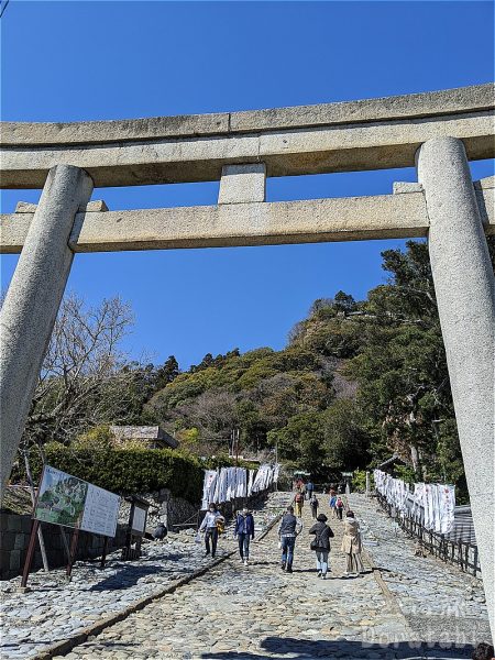 「日本平・久能山」の観光情報! 見所・道路アクセス情報など!