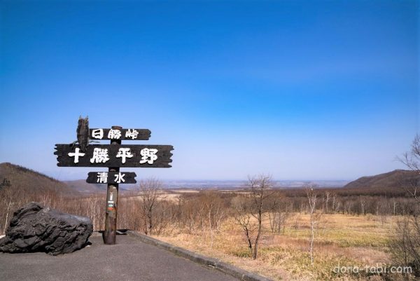 北海道 日商pass Shimizu Drivein 清水鎮 開車旅行 Com
