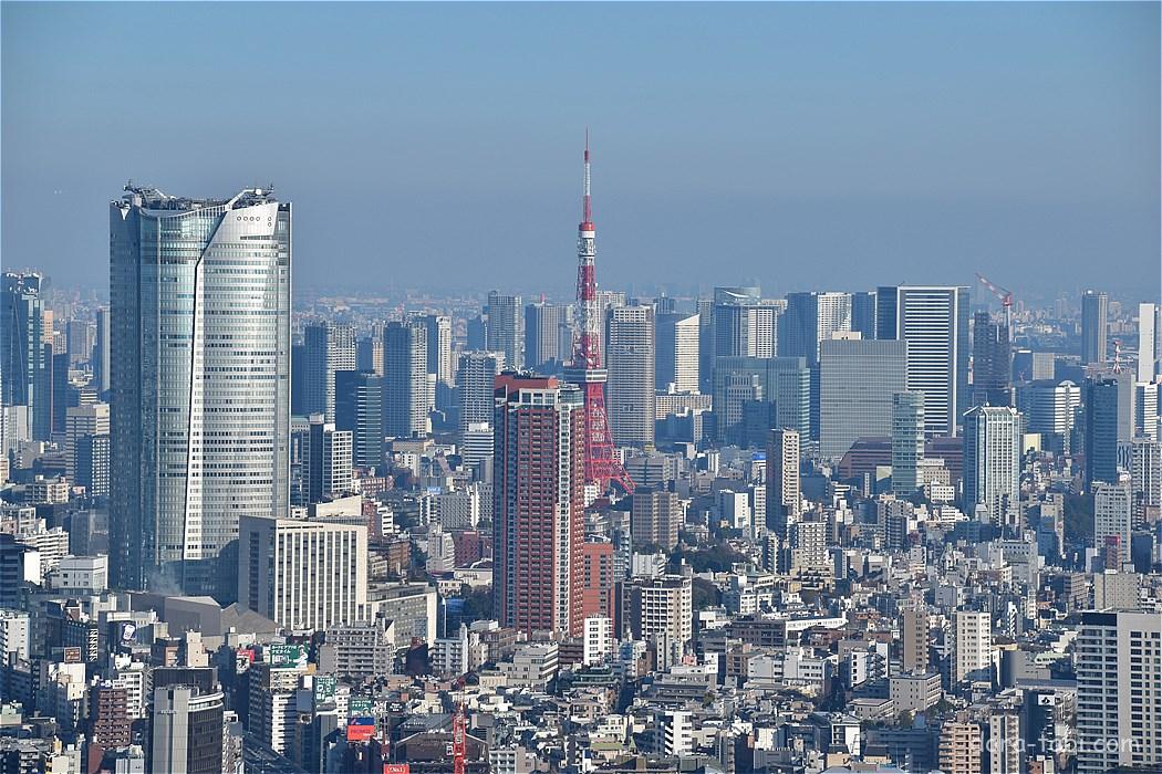 【東京都】渋谷スクランブルスクエア（SHIBUYA SKY）（渋谷区） - ドライブ旅.com